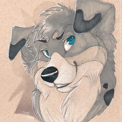 Boulder headshot
