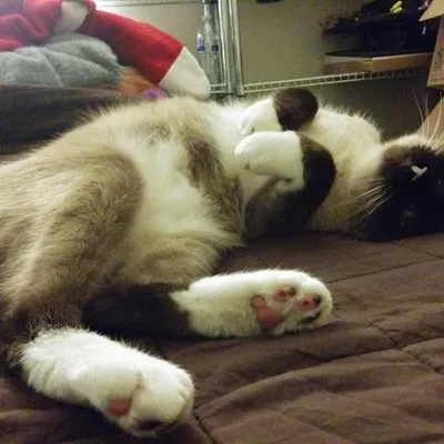 Miles in repose, 2014