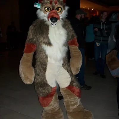 Peluche Coyote at MFF 2015