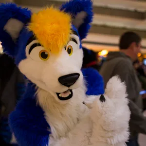 Midwest Furfest 2013
