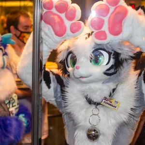 Midwest Furfest 2022