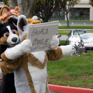 Further Confusion 2009