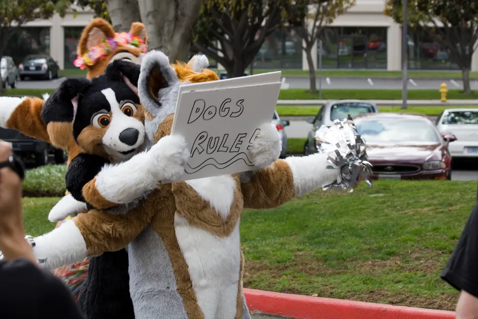 Further Confusion 2009 cover image