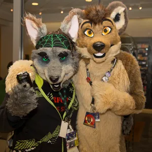 Further Confusion 2013