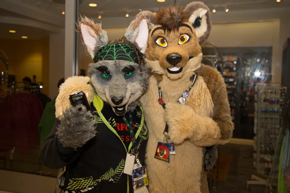 Further Confusion 2013 cover image