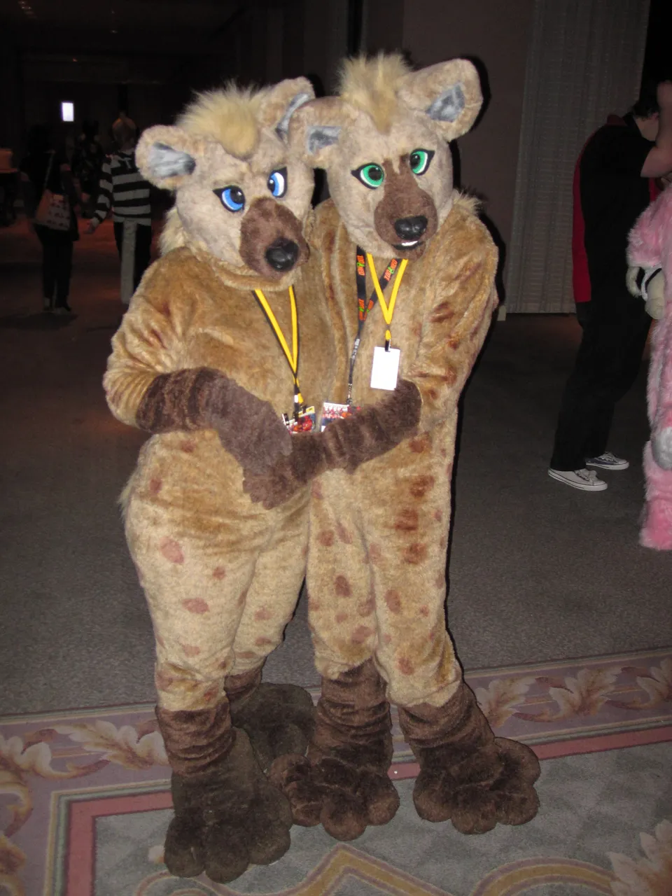 Further Confusion 2010 cover image