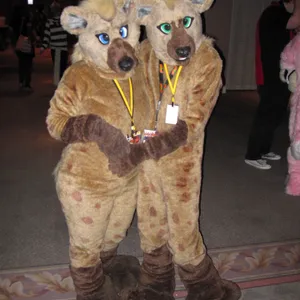 Further Confusion 2010