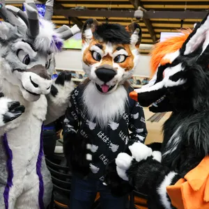 When Furballs Strike 44