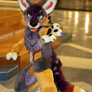 Further Confusion 2023