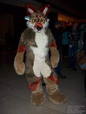 Peluche Coyote at MFF 2015